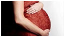 Fyring af gravid kostede dyrt